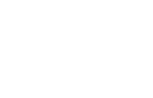 Euclid MAX logo white