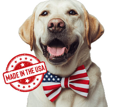 Labs made in the usa dog